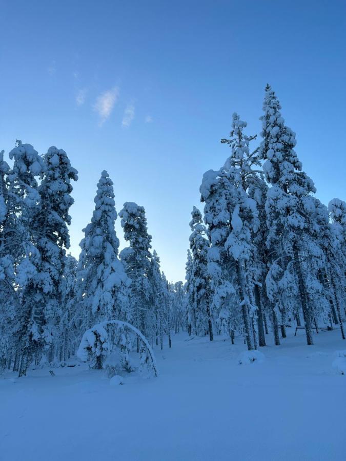 Levi Aurora Sky Villa Eksteriør billede